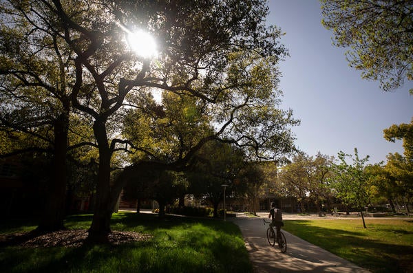 Man on bicycle on campus