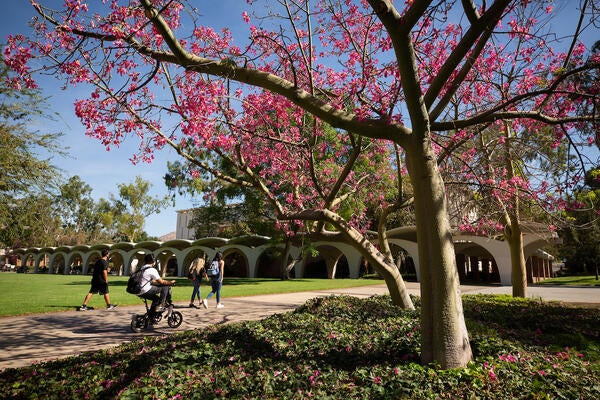 Rivera Library