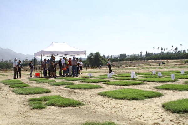 Turfgrass and Landscape field day