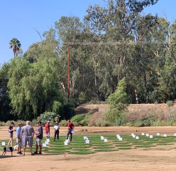 Turfgrass and Landscape field day