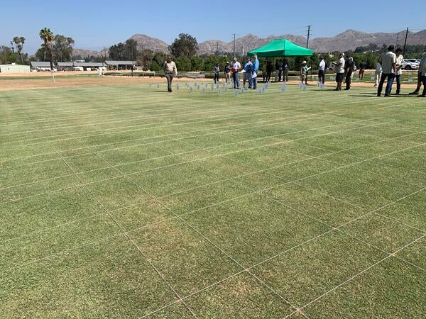 Turfgrass and Landscape field day