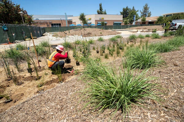 Native American Garden