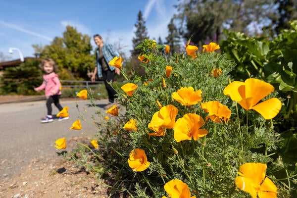 Botanic Gardens spring 24 | Inside UCR | UC Riverside