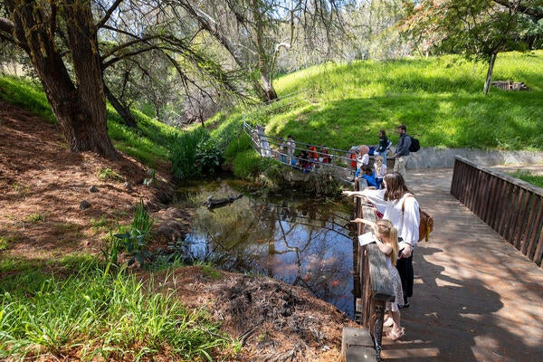 Botanic Gardens spring 24 | Inside UCR | UC Riverside