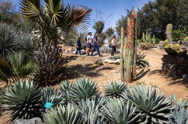 Botanic Gardens spring 24 | Inside UCR | UC Riverside