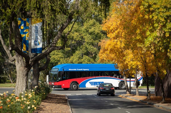 RTA bus