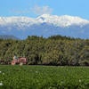 Tractor in green field with snow mountains in the background