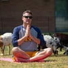 Staff practicing yoga outdoors with goats.