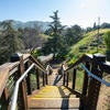 Botanic Gardens stairs