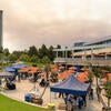 Chancellor's picnic