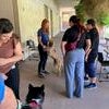 adopt a pet event