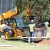tree planting