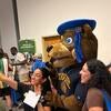 Community Partner Fair