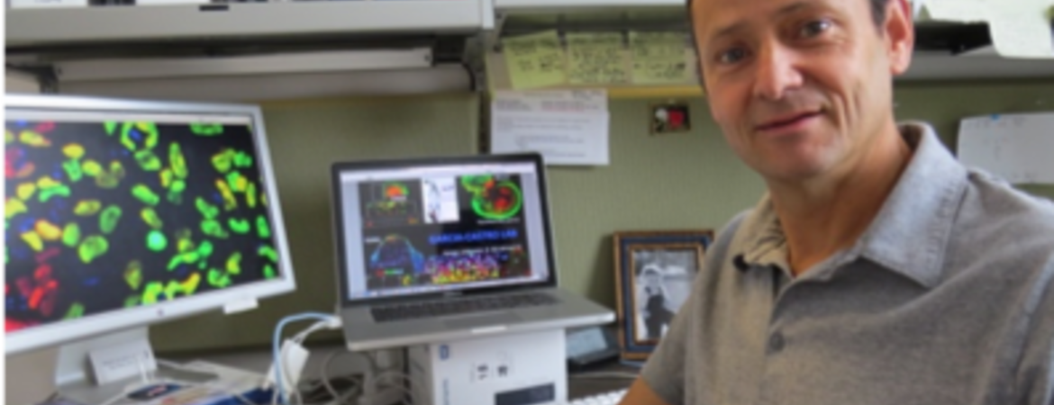 Martín García-Castro