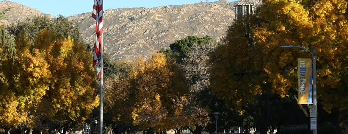 Campus entrance