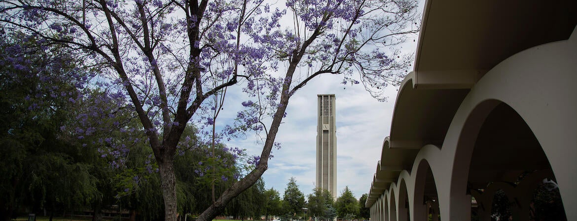Bell tower campus image