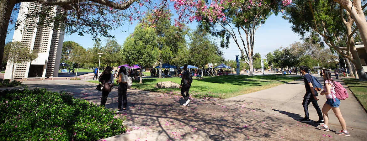 Students on campus near the bell tower