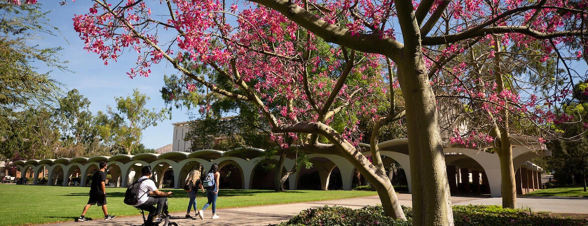 Rivera Library