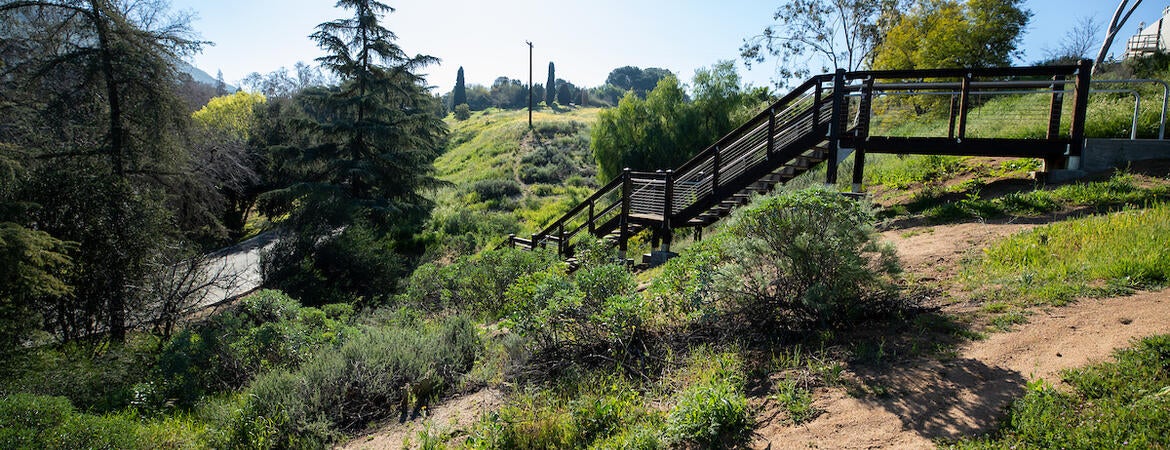 Botanic Gardens stairs
