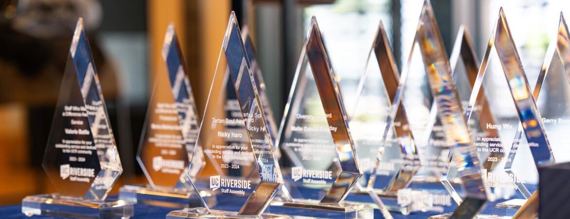 Staff awards