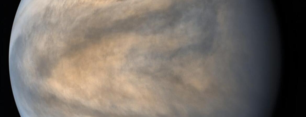 Venus
