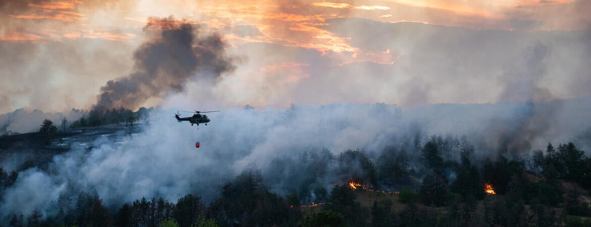 Wildfire smoke