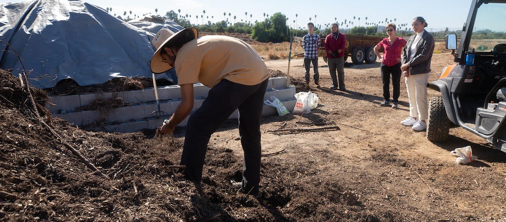 compost pile