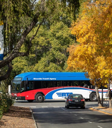 RTA bus
