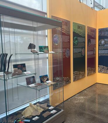 Ediacaran exhibit