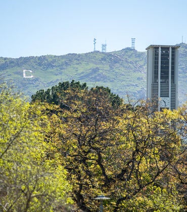 Campus belltower view