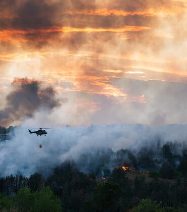 Wildfire smoke
