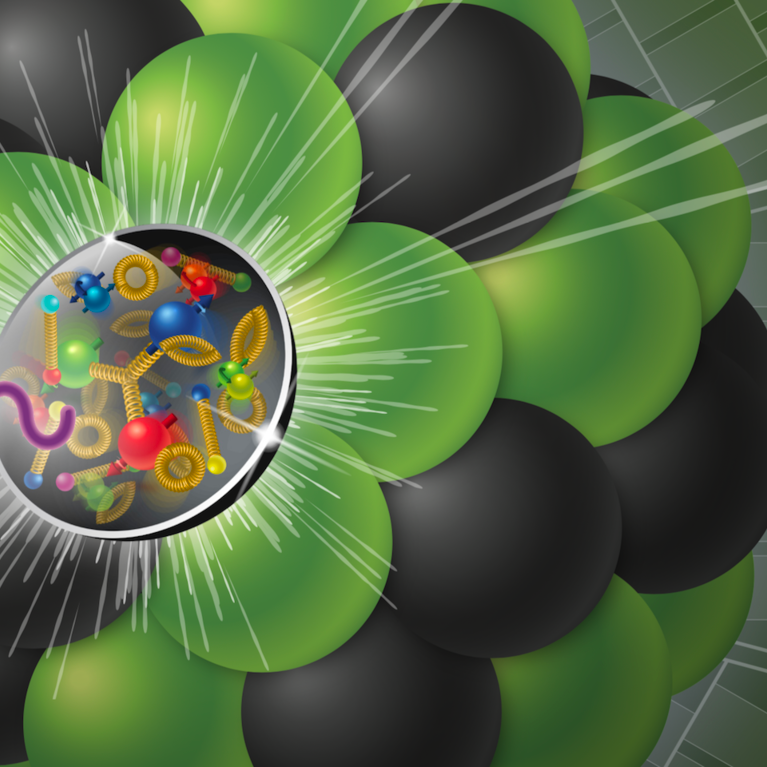 representation of what happens in the electron-ion collider credit: Brookhaven National Laboratory