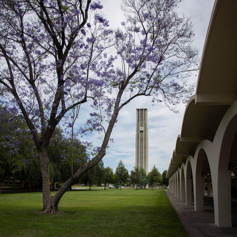 Bell tower campus image