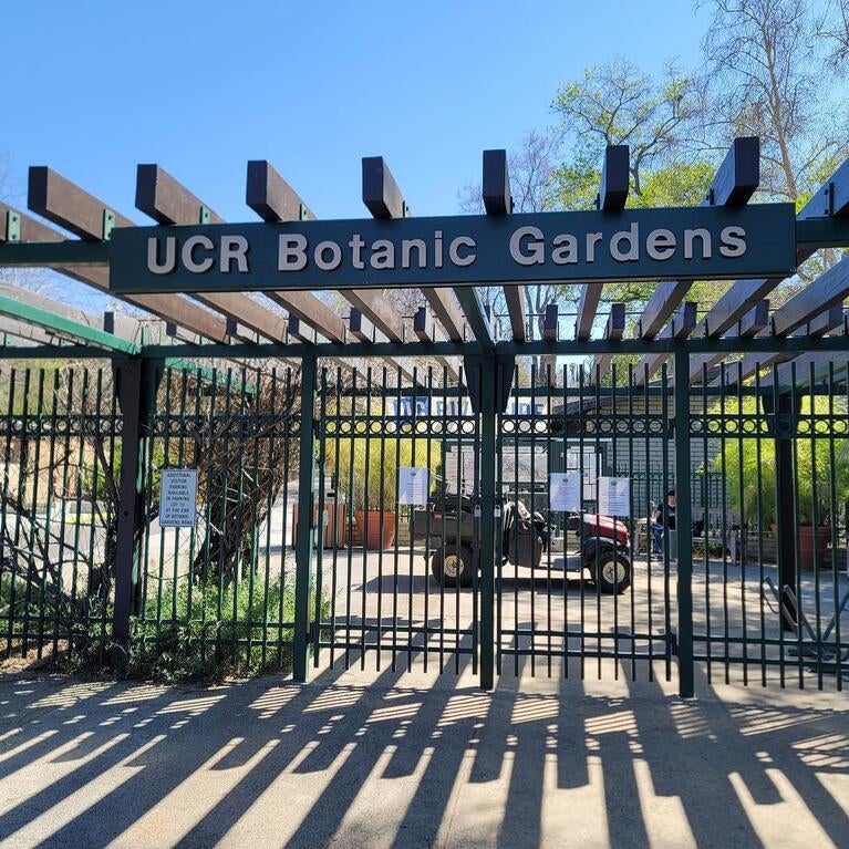 Botanic Gardens entrance