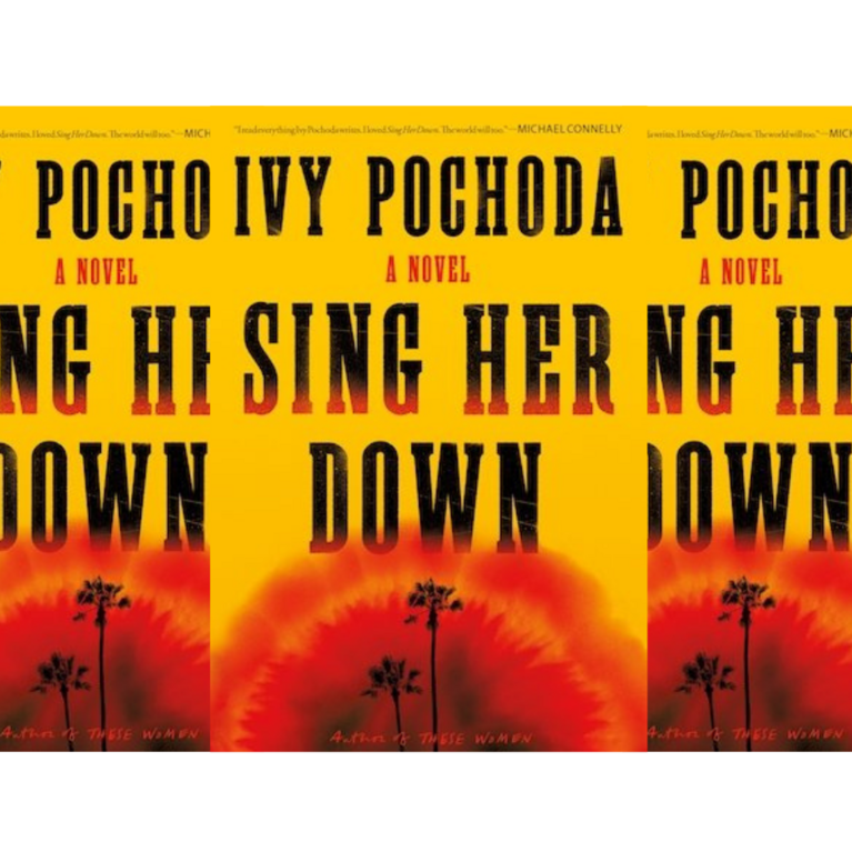 Book cover of Ivy Pochoda's "Sing Her Down."