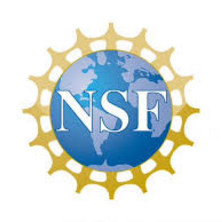 NSF logo