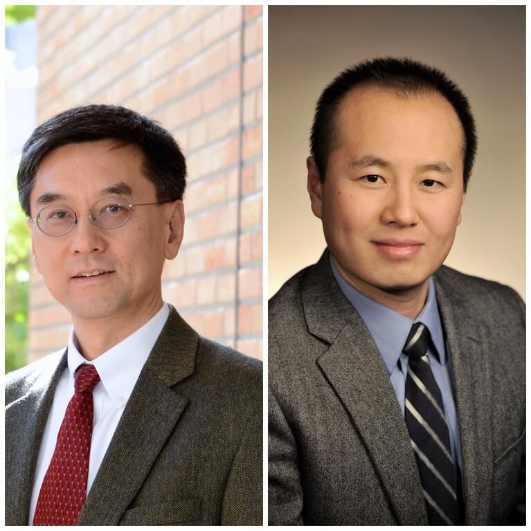 2024 AAAS fellows 