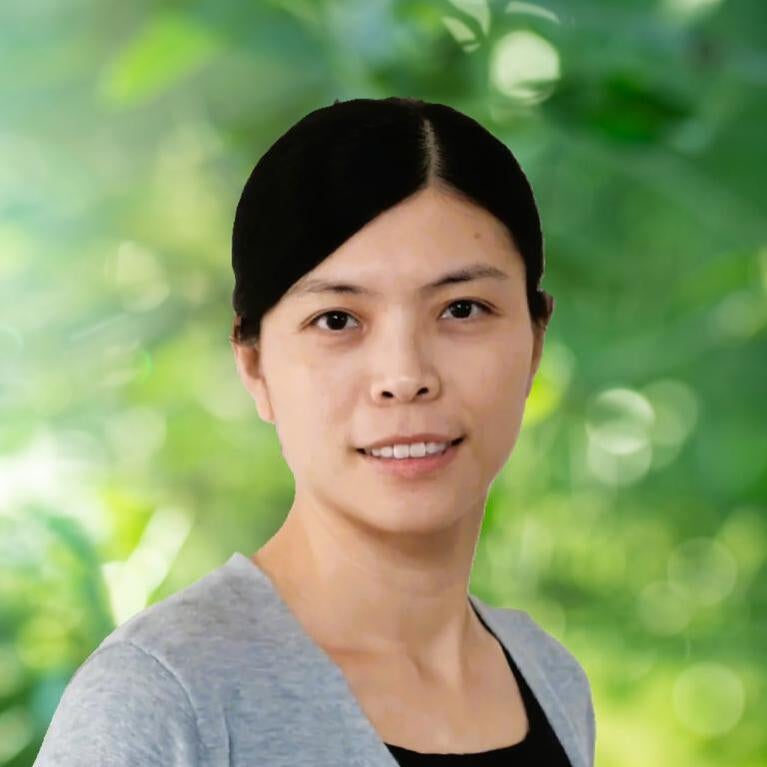 Huimin Zhang