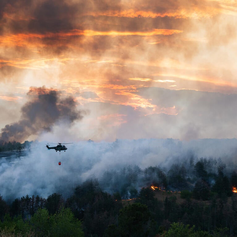 Wildfire smoke