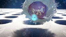 Bailard Basilard biotech