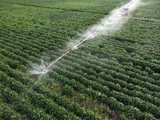 crop irrigation