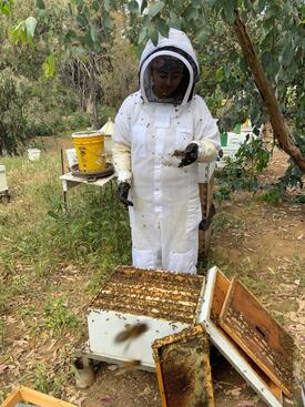 Sakshi Watts in bee suit