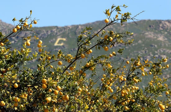 UCR Agricultural Operations