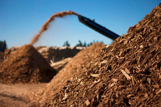 Biofuel feedstock Biofuel feedstock