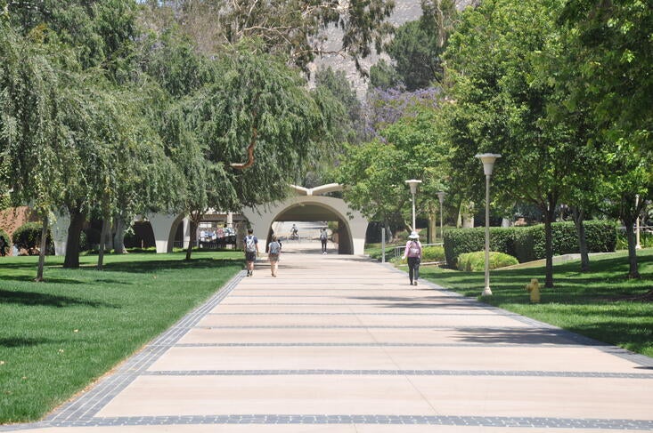 Eucalyptus Walk