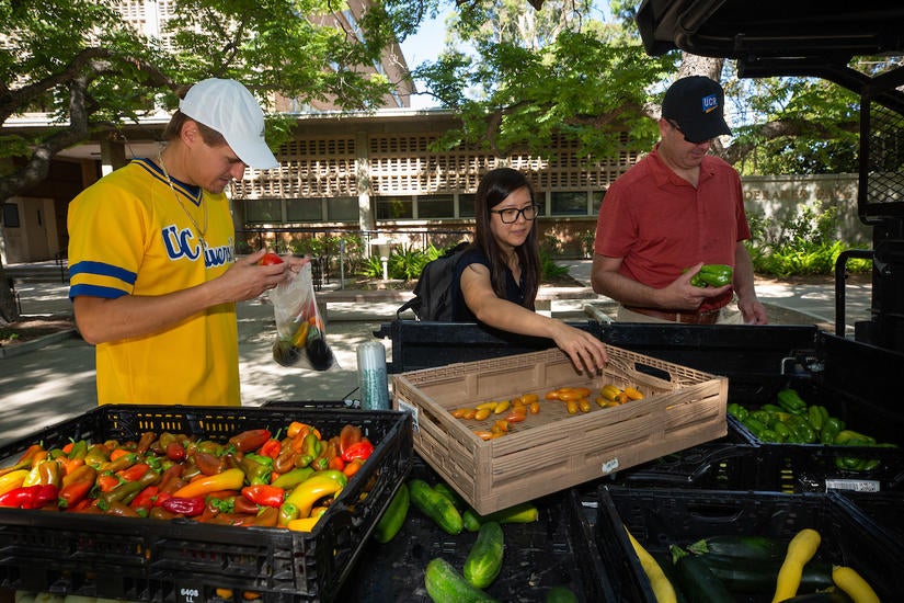 Staff and faculty members chose for a variety of vegetables during the first coffee social on Tuesday, July 20, 2021. (UCR/Stan Lim)