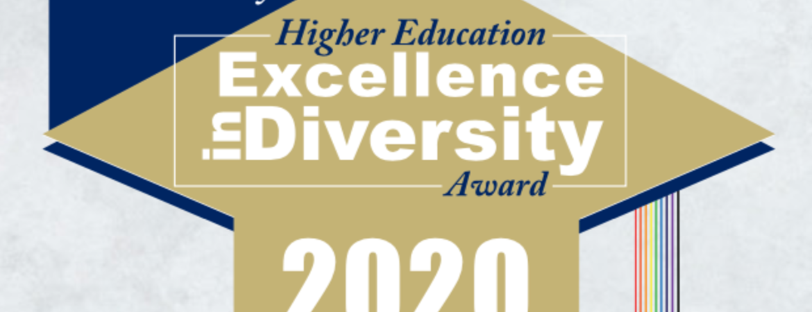 Diversity award